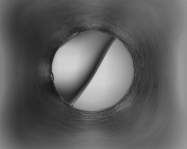 X0000094381156200711162125
