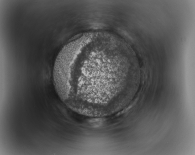 X0000094381158200711162125