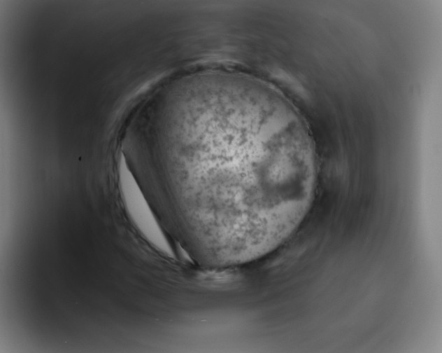 X0000094381159200711162125