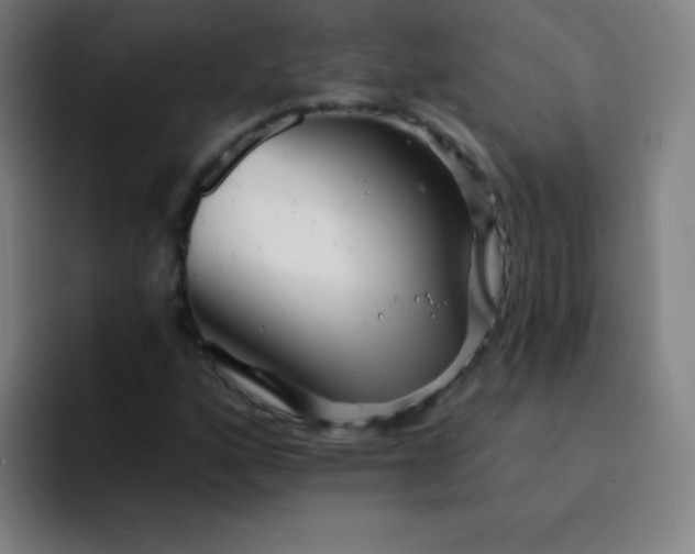 X0000094381160200711162125
