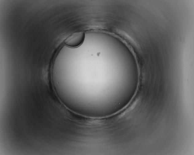 X0000094381162200711162125