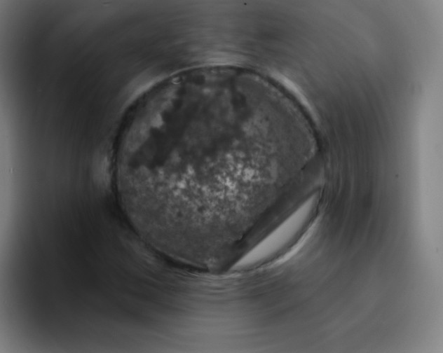 X0000094381163200711162125