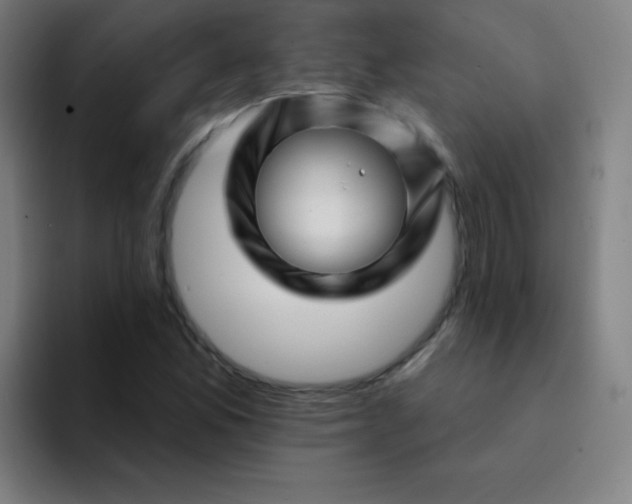 X0000094381165200711162125