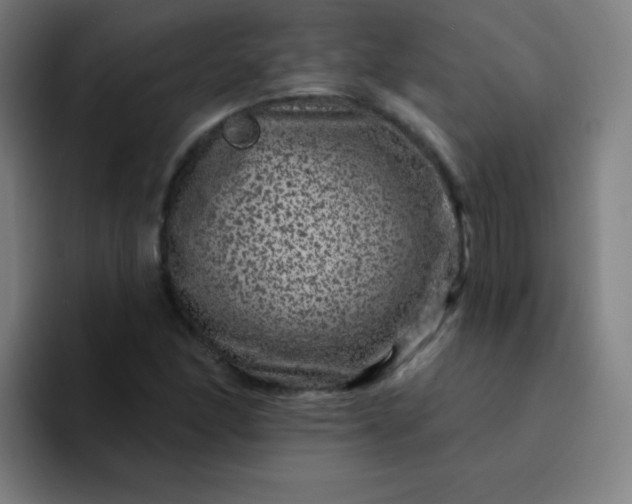 X0000094381166200711162125