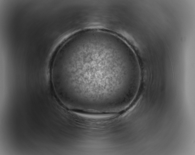X0000094381167200711162125