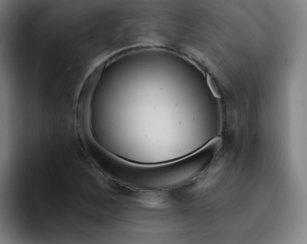 X0000094381168200711162125