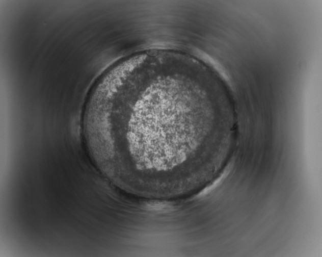 X0000094381170200711162125