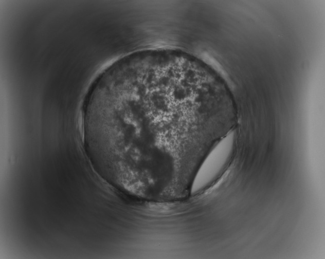 X0000094381171200711162125