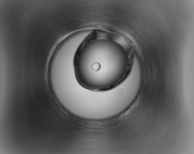 X0000094381172200711162125