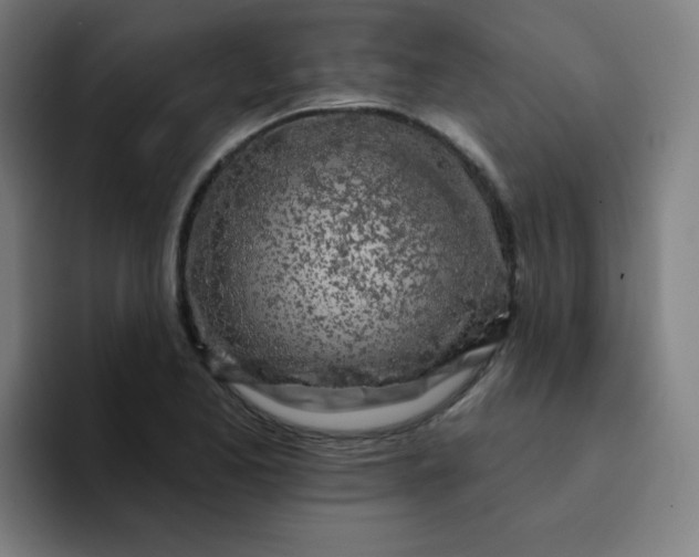X0000094381173200711162125