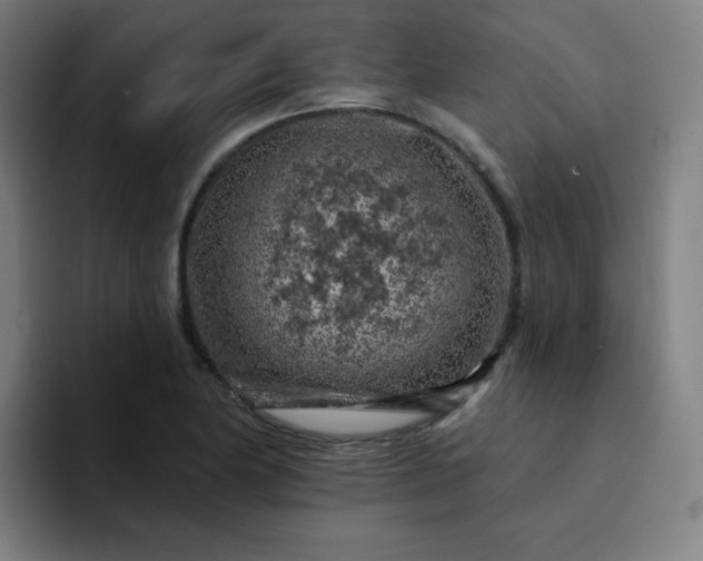 X0000094381174200711162125