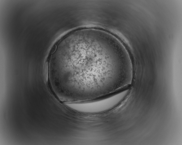 X0000094381175200711162125