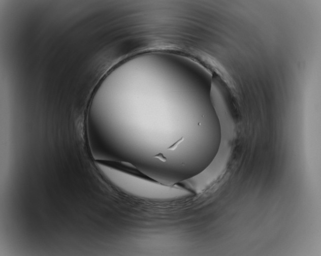 X0000094381177200711162125