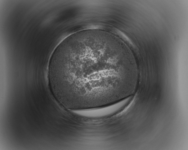 X0000094381178200711162124