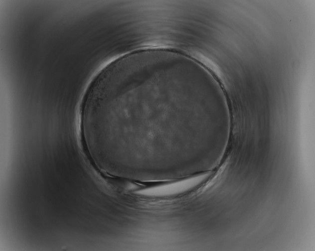 X0000094381179200711162124