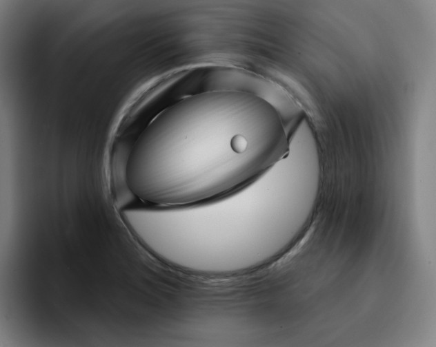 X0000094381180200711162124