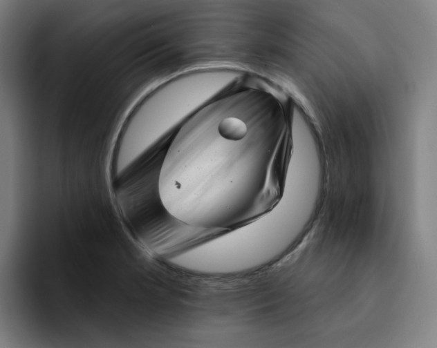 X0000094381181200711162124