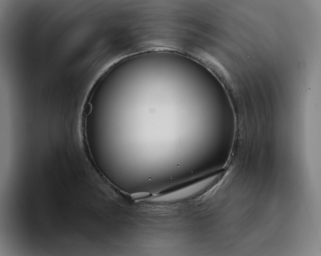 X0000094381182200711162124