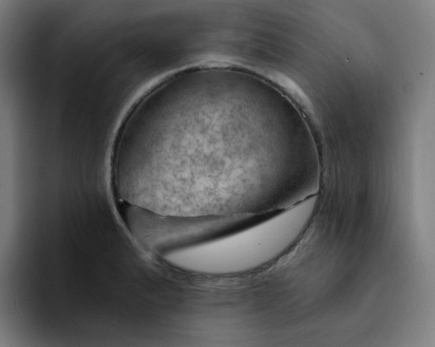 X0000094381183200711162124