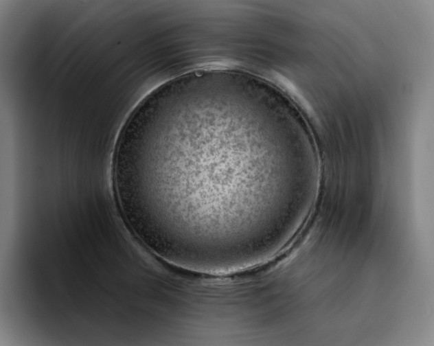 X0000094381186200711162124