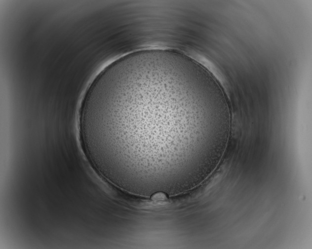 X0000094381187200711162124