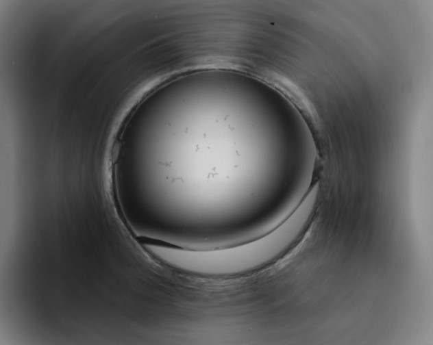 X0000094381188200711162124