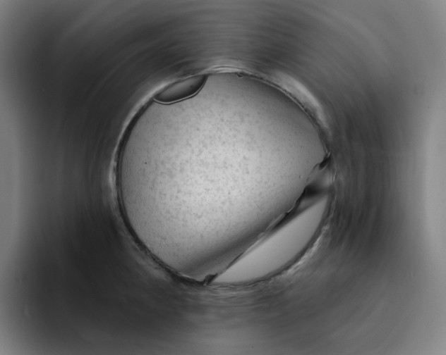 X0000094381190200711162124