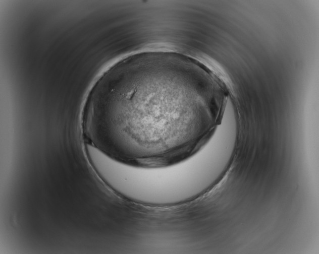 X0000094381192200711162124
