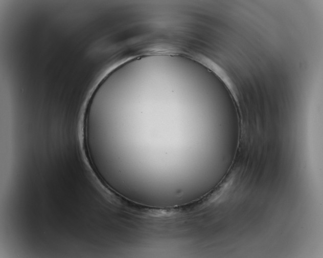 X0000094381195200711162124