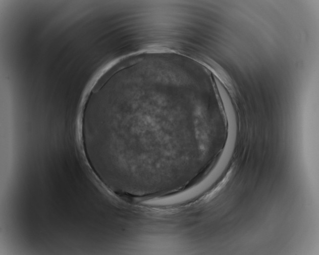 X0000094381196200711162124