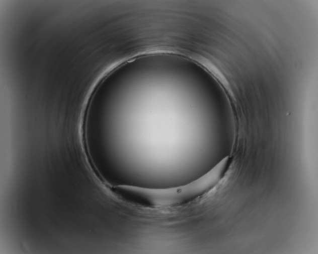 X0000094381197200711162124
