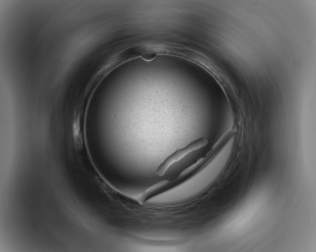 X0000094381198200711162124