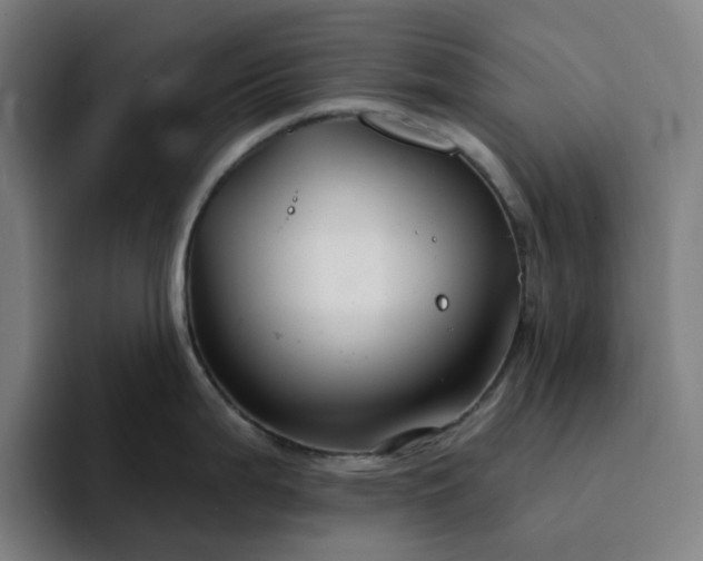 X0000094381199200711162124