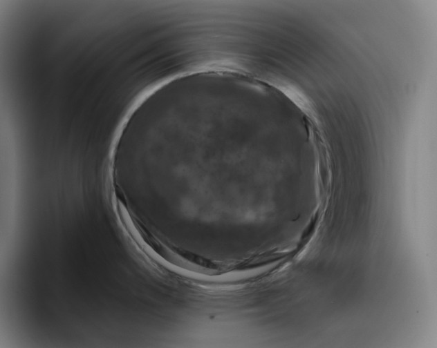 X0000094381200200711162124
