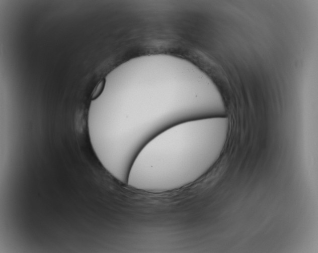 X0000094381204200711162124