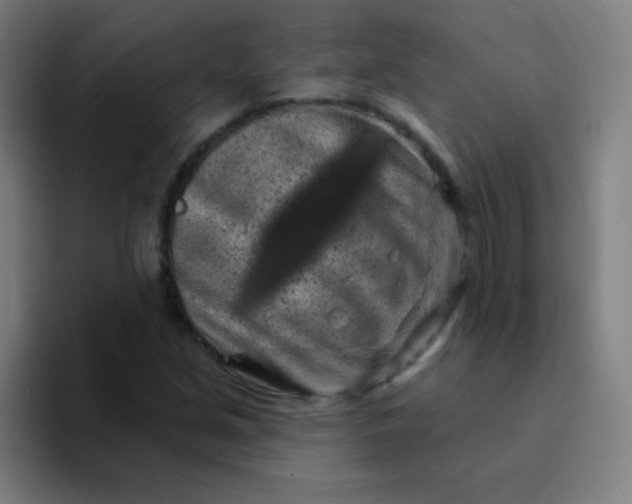 X0000094381213200711162124