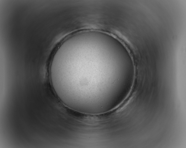 X0000094381215200711162124
