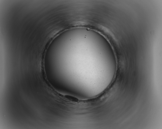X0000094381217200711162124