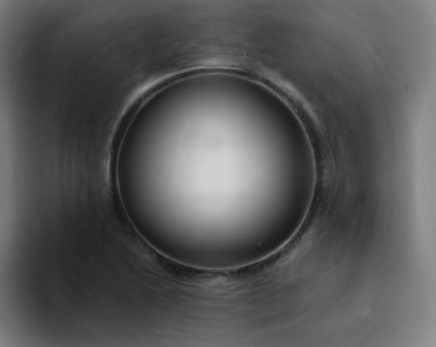 X0000094381222200711162124
