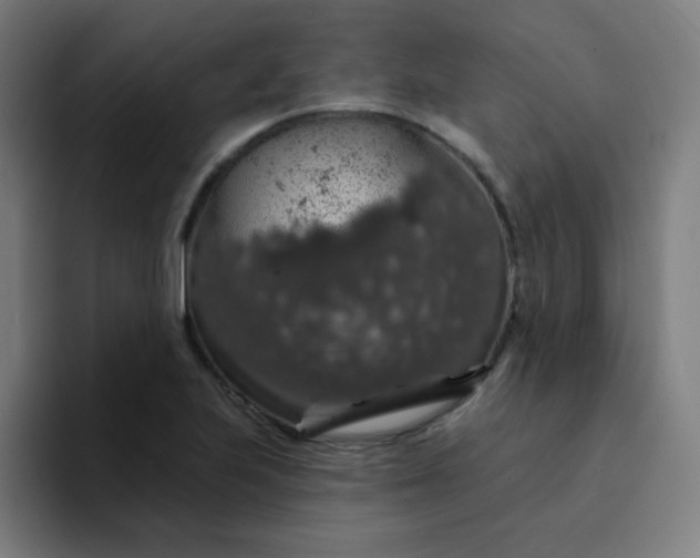 X0000094381223200711162124