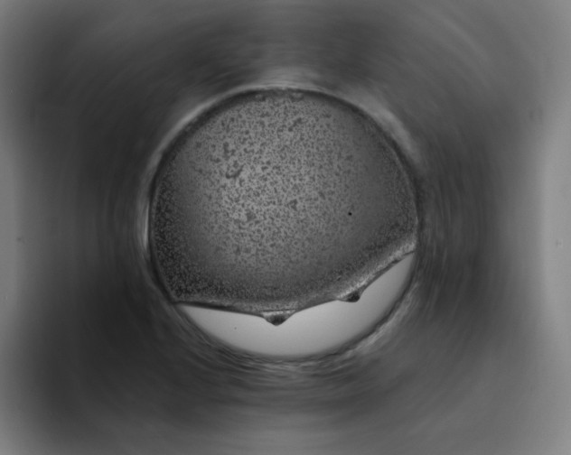 X0000094381224200711162124