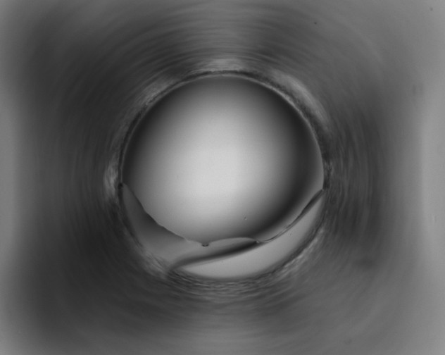 X0000094381225200711162124