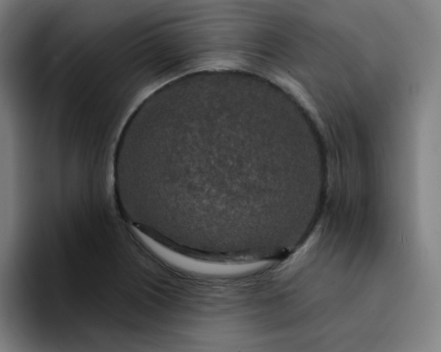 X0000094381226200711162124