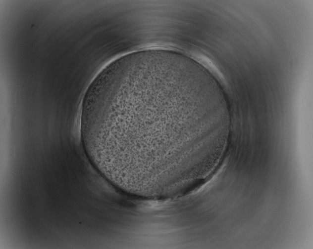 X0000094381228200711162124