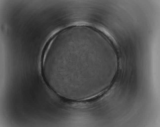 X0000094381229200711162124