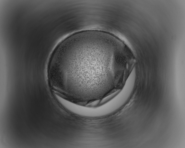 X0000094381230200711162124