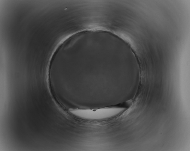 X0000094381231200711162124