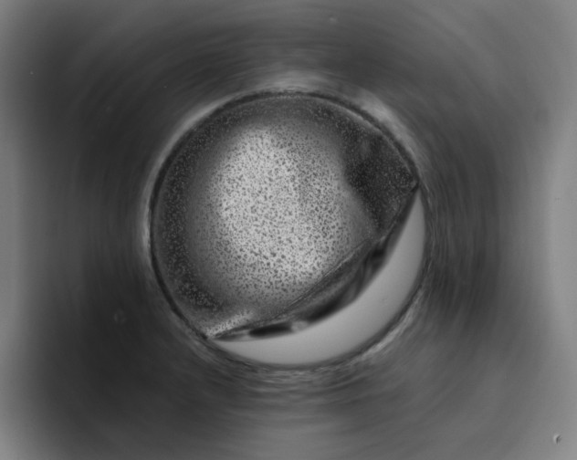 X0000094381232200711162124