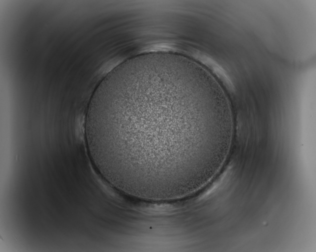 X0000094381233200711162124