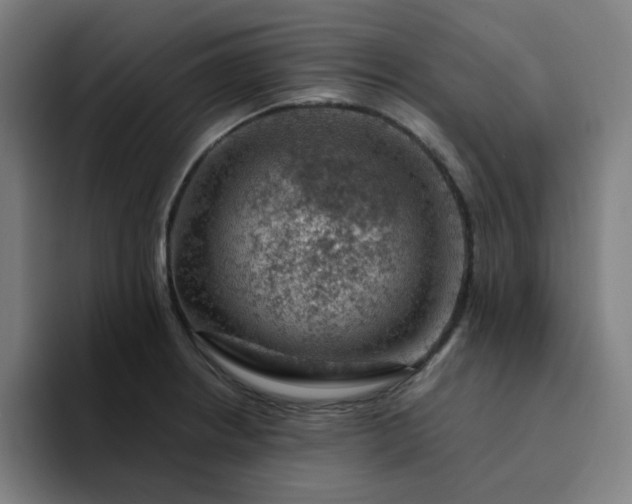 X0000094381234200711162124
